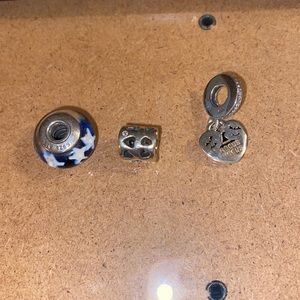 Pandora charms